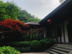 -十八棵（老龙井）御茶园(老龙井店)