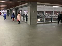 -黑龙江中医药大学附属第一医院