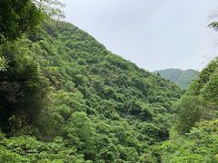 -山沟沟景区