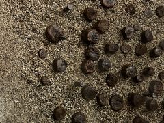 -元代水闸遗址博物馆