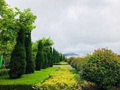 -日照职业技术学院