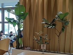 -Bco豆库(星耀天地店)