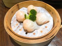 虾饺皇-山水茶艺馆·点心粤菜·30年老字号