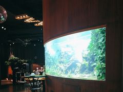 -华阳时光吧餐厅(华阳广场国际大饭店)