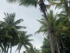 -三亚亚龙湾雅高铂尔曼别墅度假酒店