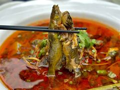 -院8里·少城记忆老川菜(宽窄巷子店)