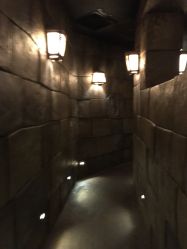 -翱翔飞越地平线