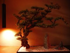 -端艾堂·SPA·艾灸(棕榈泉013店)