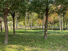 -上海山野camping·户外天幕烧烤·团建拓展营地