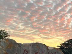 -海珠湖公园