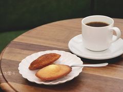玛德琳-月球咖啡retro