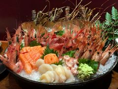 三文鱼-初花·日本料理