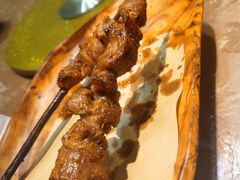 红柳枝烤肉-天山醉美·新疆餐厅(富华里店)
