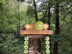 -大岭沟猕猴桃谷风景区