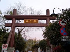 -龙井村