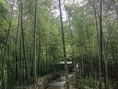 -宁波浙东大竹海景区