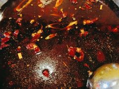 -金鼎雪山牦牛杂火锅(理县总店)