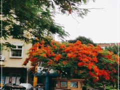 -厦门市少年儿童图书馆(中山公园馆)