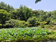 -山外山菜馆(玉泉路店)