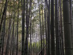 -九龙潭景区