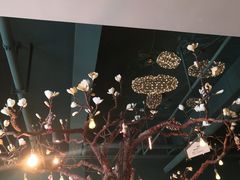 -梧桐树下(云锦世家店)