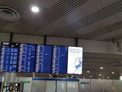 -谢列梅捷沃国际机场