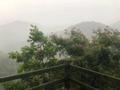 -四会奇石河风景区