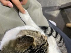 -铜瓢江湖兔火锅(水碾河社区店)