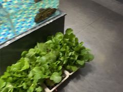 -映像威海·海鲜味道(市区店)