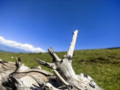 -新疆那拉提国家旅游度假区
