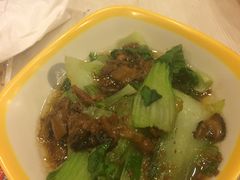 -鹏欣水游城
