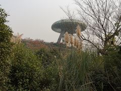 -中国湿地博物馆