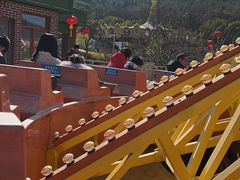 -无锡动物园·太湖欢乐园