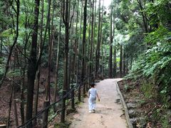 -岚山猴子公园