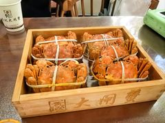 -黄记大闸蟹专卖店·活蟹·醉蟹