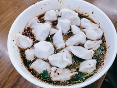 酸汤牛肉水饺-回坊马二饺子馆