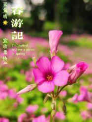 -玄武湖景区-情侣园游乐场