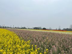 -中国天府农业博览园