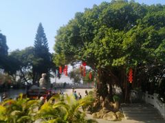 -船政文化景区-罗星塔公园