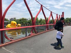 -菊园百果园