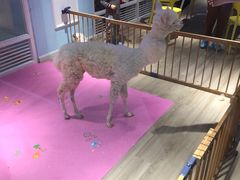 -鹿客西街(欧乐时尚广场店)