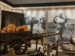 -石岛赤山风景区