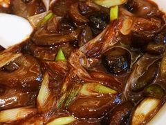 -上海德兴馆(昌里店)