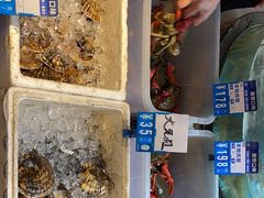 -强记海鲜·大排档(蛇口新街店)