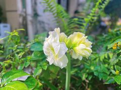 -默迹咖啡馆