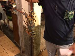 -真浪花园海鲜餐馆