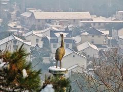 -香雪海