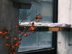 -CEMENT·coffee bar (凤凰创意园店)