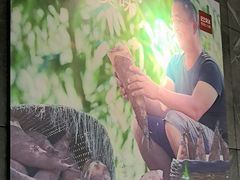 -巴奴毛肚火锅(相州店)