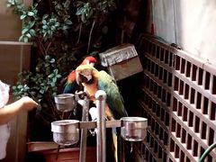 -尊爵天际大饭店 (近台茂)